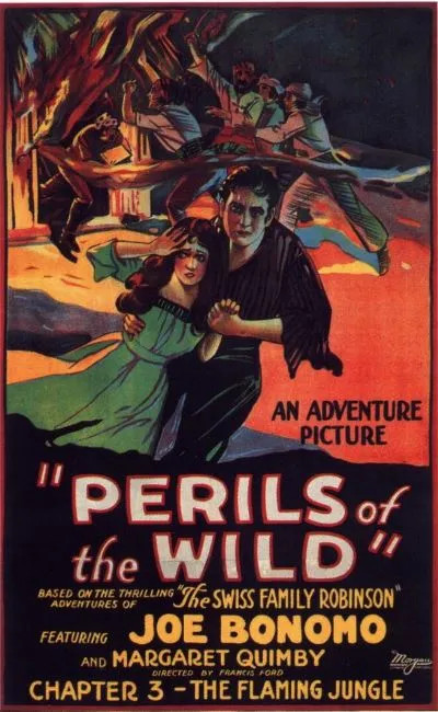 Perils of the wild (1925)