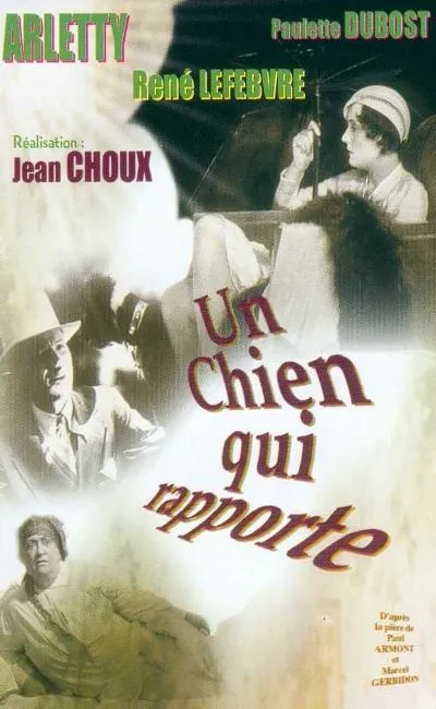 Un chien qui rapporte