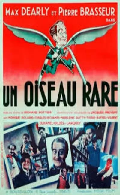Un oiseau rare