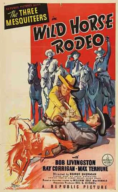 Wild horse rodeo