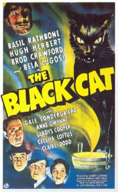Le chat noir