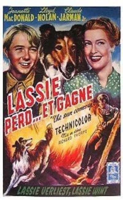 Lassie perd et gagne