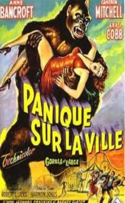 Panique sur la ville (1954)