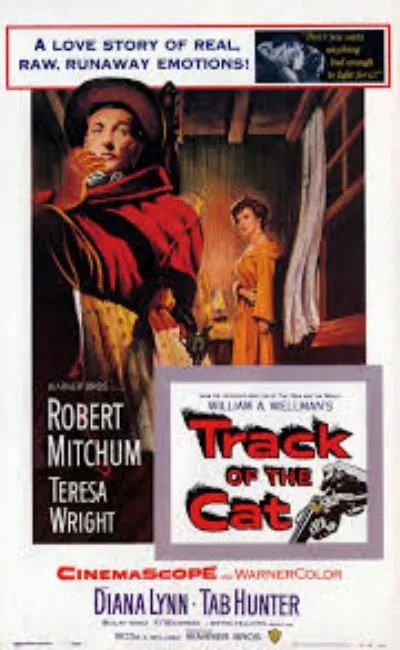 Track of the cat