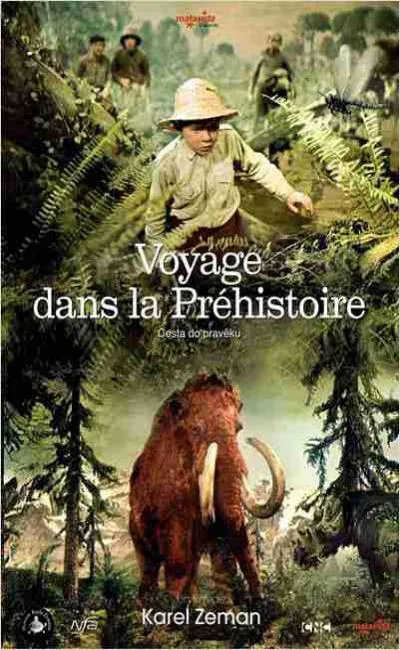 Voyage dans la préhistoire