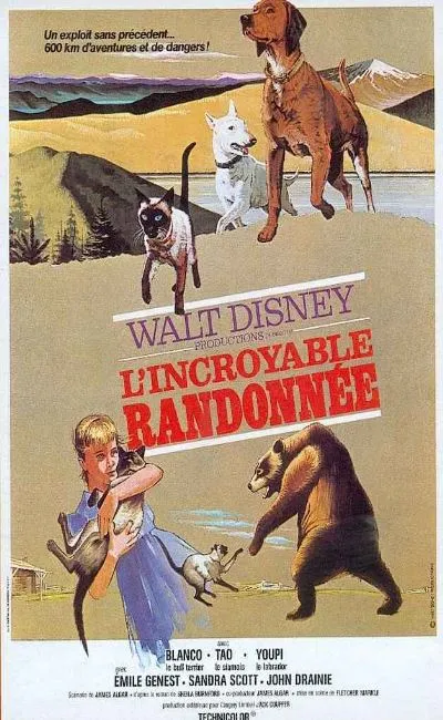 L'incroyable randonnée