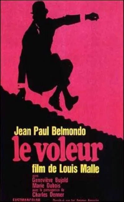 Le voleur