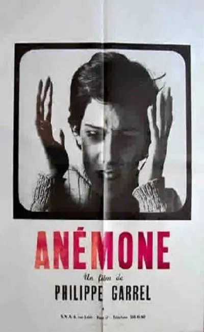 Anémone