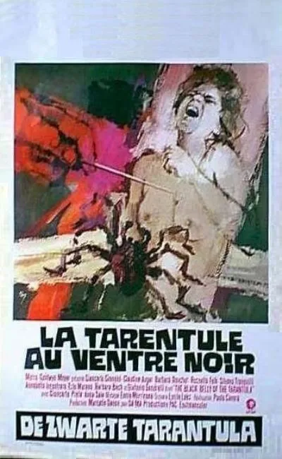 La tarentule au ventre noir