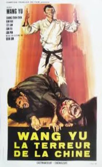 Wang Yu la terreur de la Chine (1973)