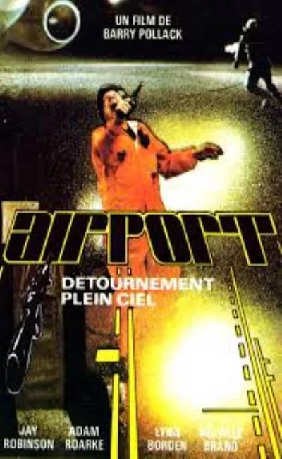 Airport - Détournement en plein ciel (1973)