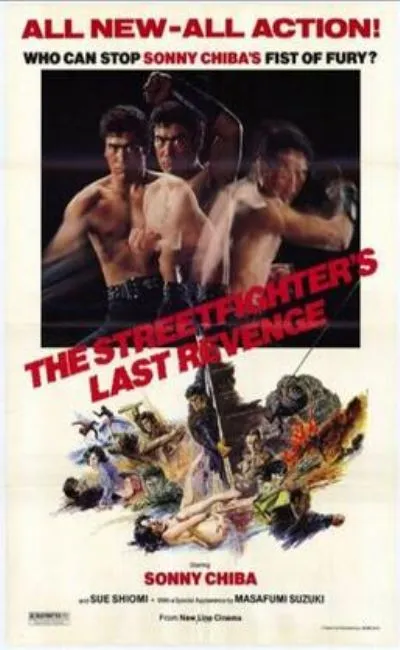 The Street Fighter's Last Revenge (1974)