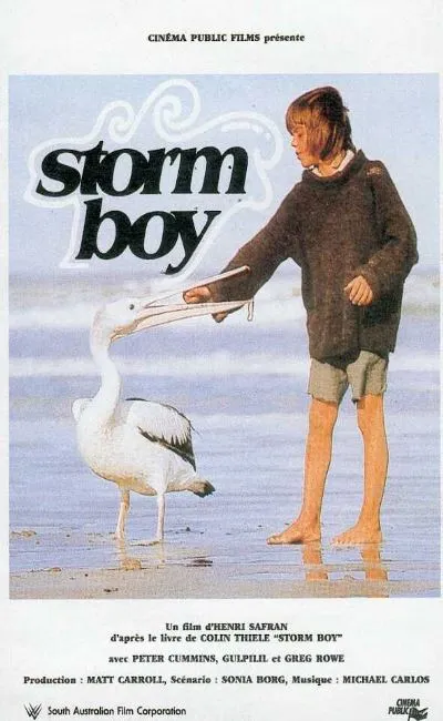 Storm boy