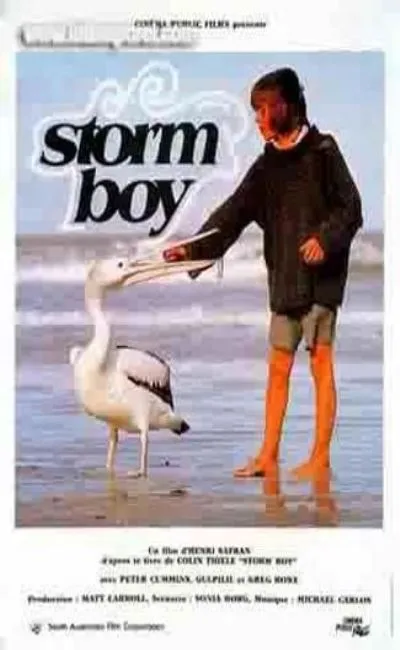Le petit garçon de la tempête