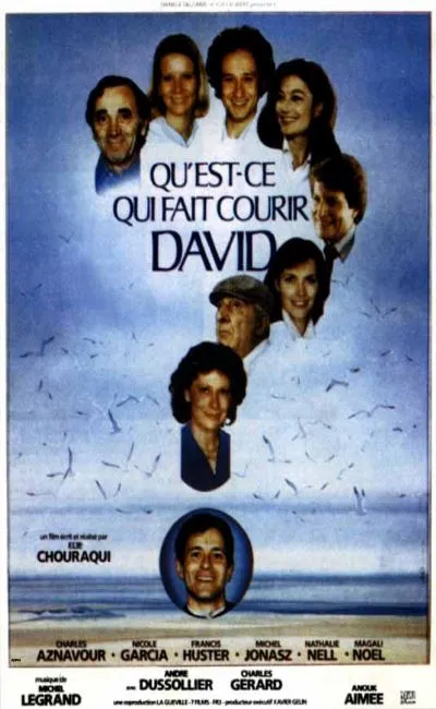 Qu'est-ce qui fait courir David ? (1982)