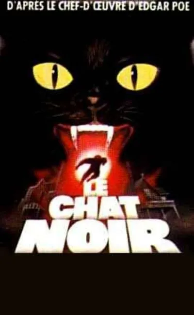 Le chat noir