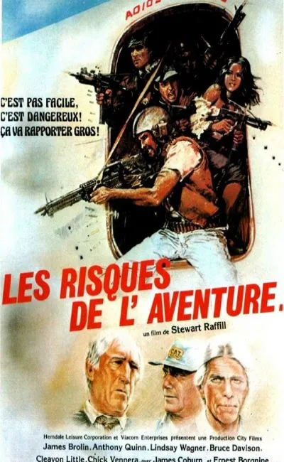 Les risques de l'aventure (1981)