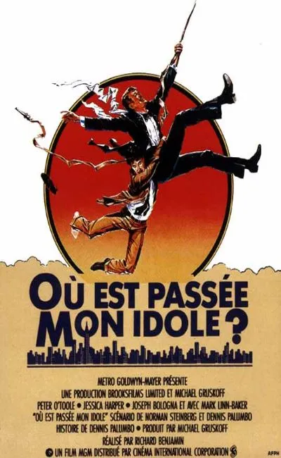 Où est passée mon idole ? (1983)