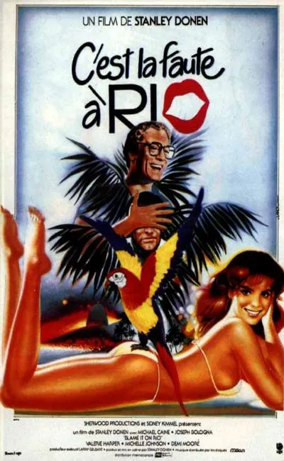 C'est la faute à Rio (1984)