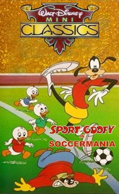 Fou de foot