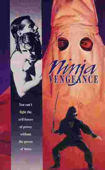 Ninja vengeance