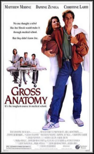 Gross anatomy