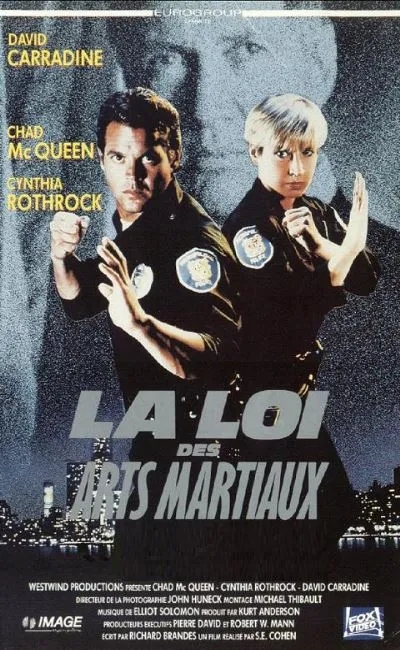 La loi des arts martiaux (1990)