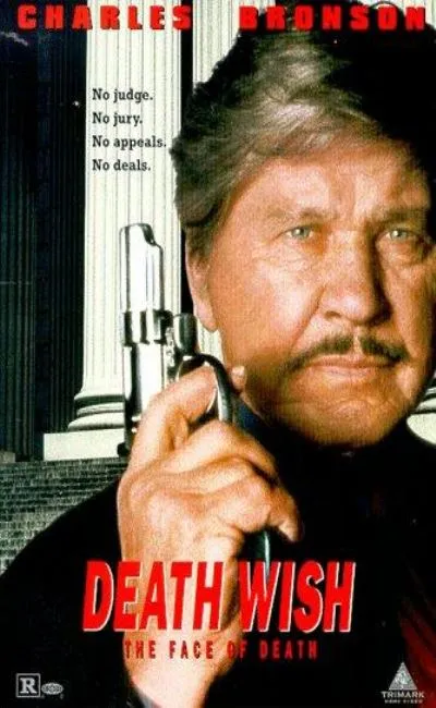 Le justicier : l'ultime combat (1994)