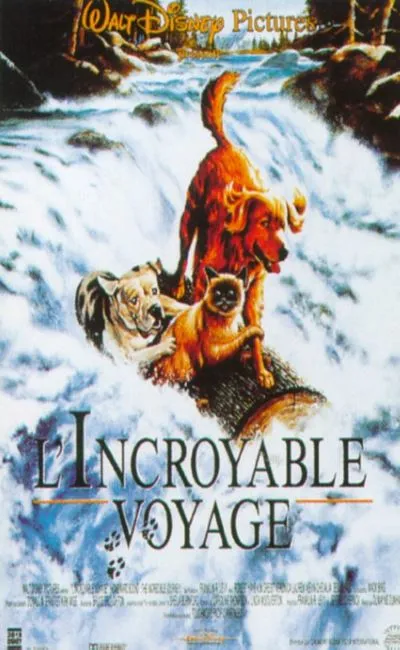 L'incroyable voyage