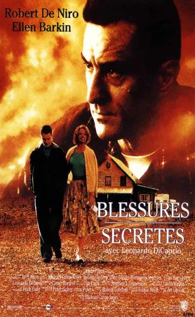 Blessures secrètes (1994)