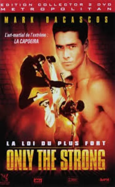 Streetfighter la rage de vaincre (1994)