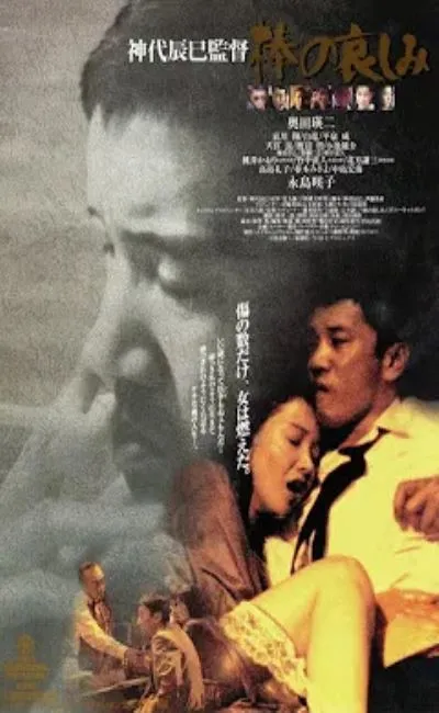 La tristesse d'un idiot (1994)