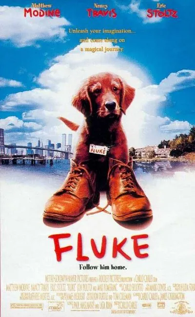 Fluke (1995)