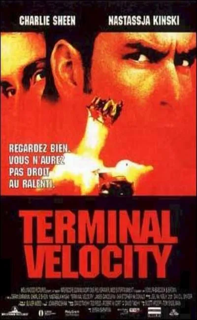 Terminal velocity