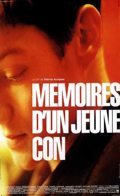 Mémoires d'un jeune con (1996)