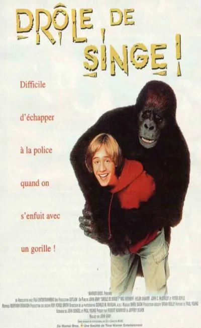 Drôle de singe