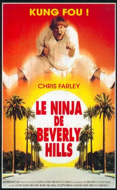 Le ninja de Beverly Hills