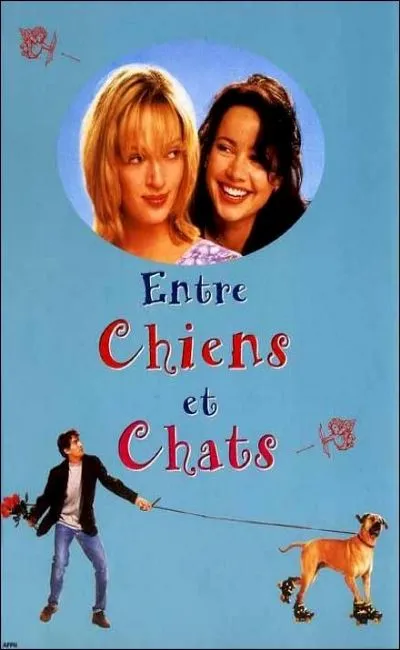 Entre chiens et chats