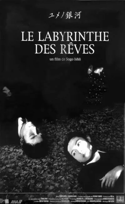 Le labyrinthe des rêves (1997)