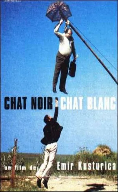 Chat noir chat blanc