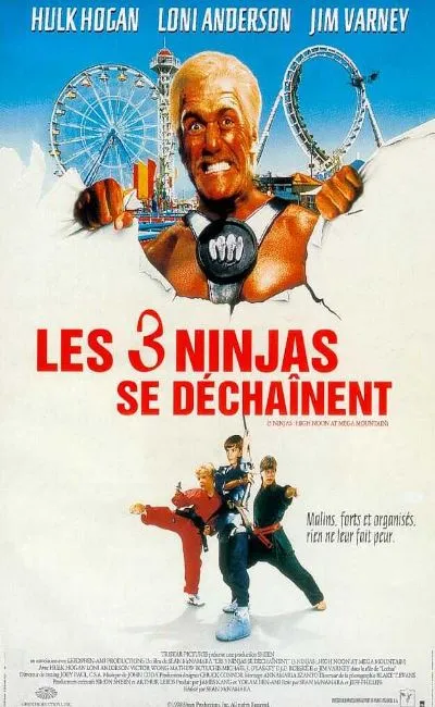 Les trois ninjas se déchainent