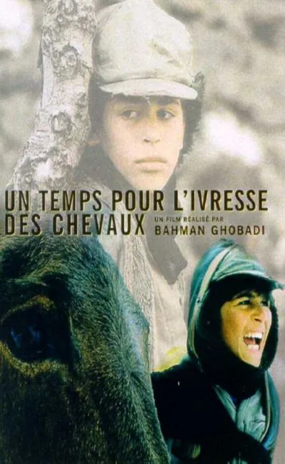 Un temps pour l'ivresse des chevaux (2000)