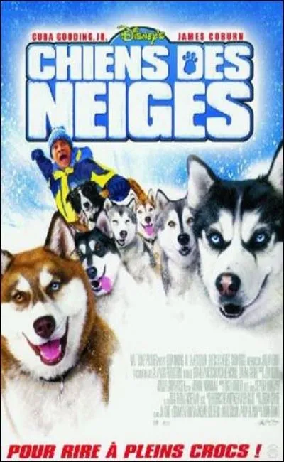 Chiens des neiges