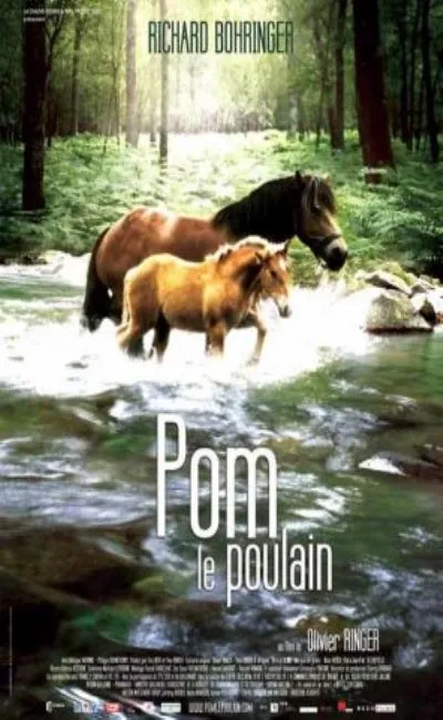 Pom le poulain