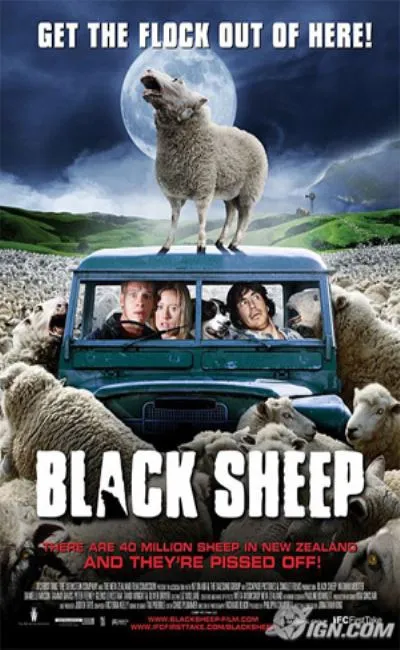 Black sheep