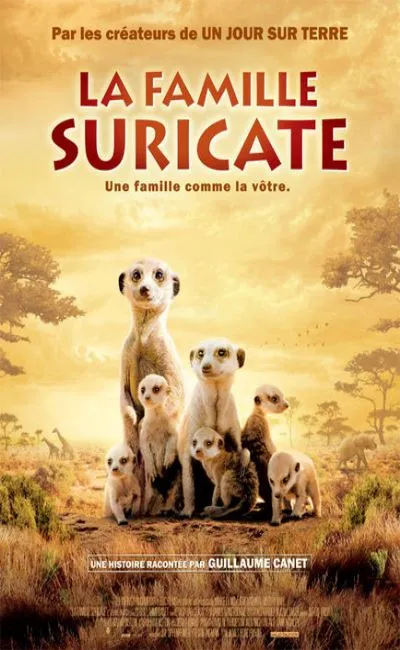 La famille suricate