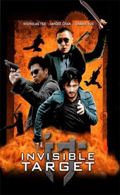 Invisible target (2008)