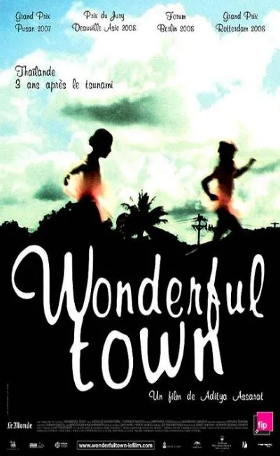 Wonderful town (2008)
