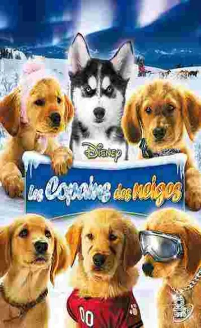 Les Copains des neiges (2008)