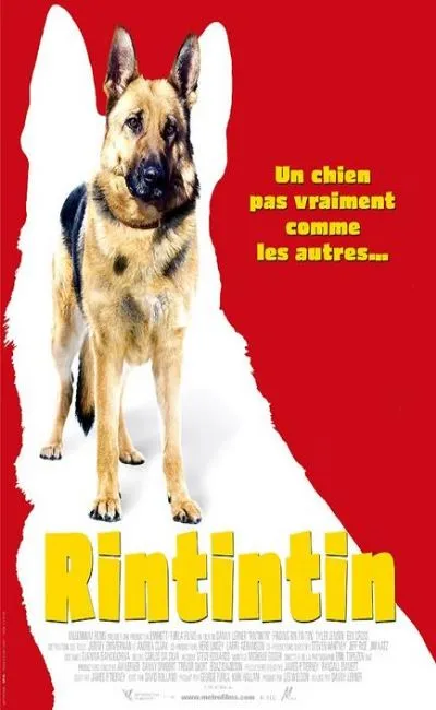 Rintintin (2007)